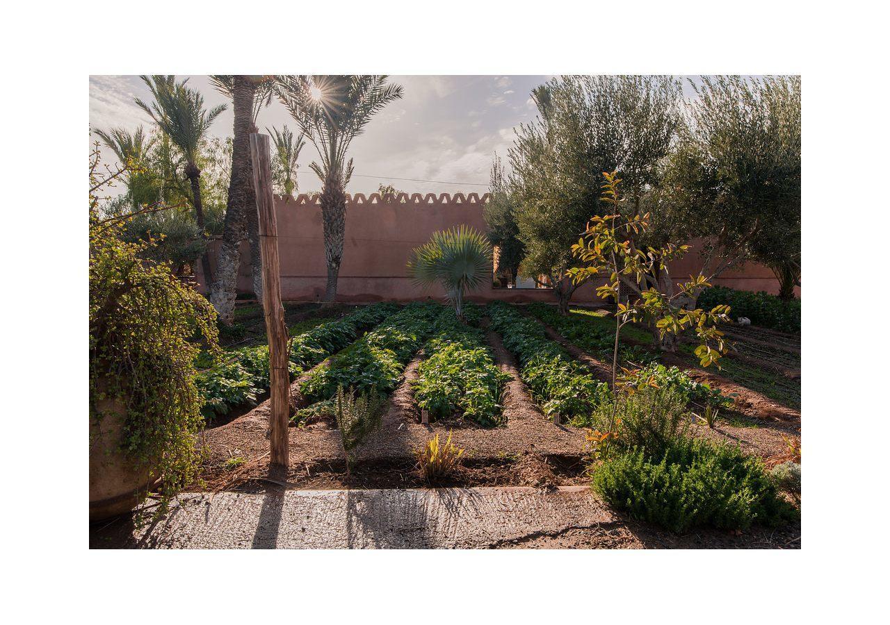 Villa 55 Marrakech Marrakesh Eksteriør billede